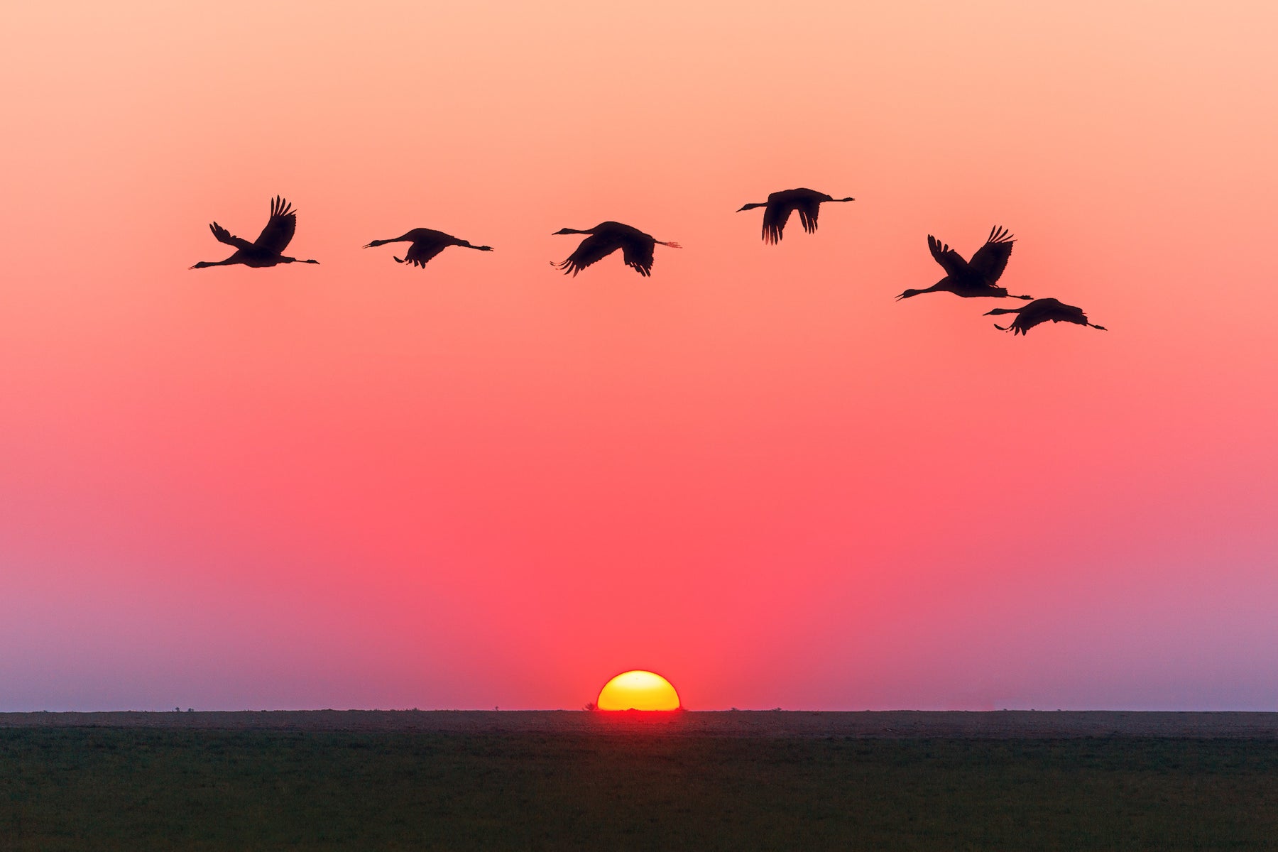5 Documentales sobre el medio ambiente que no te puedes perder
