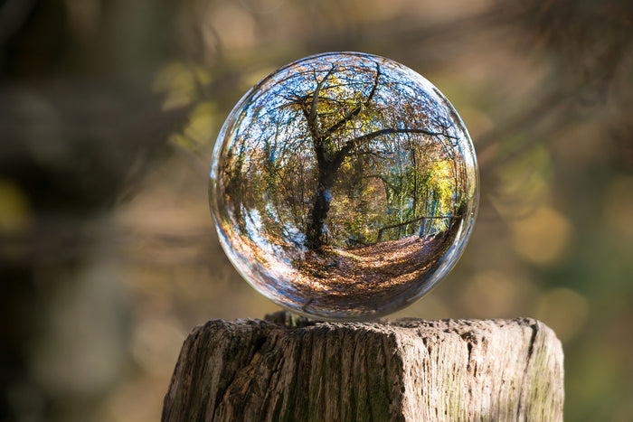 Consejos para cuidar el medio ambiente