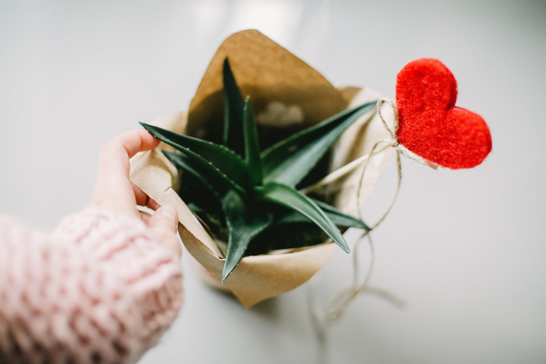 5 consejos para un San Valentín Ecológico